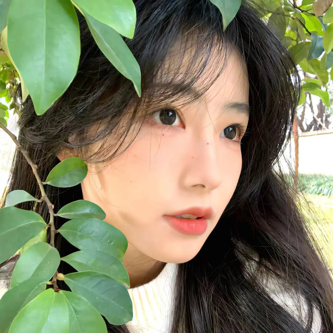 疯狂的狮子